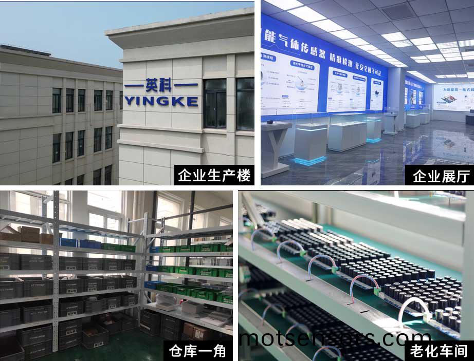 公(gong)司槩(gai)述(shu)