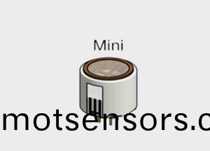 CITY 砷化氫(qing)氣體傳感器(qi)